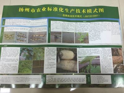【图文直播】扬州市绿色优质农产品生产监管在行动