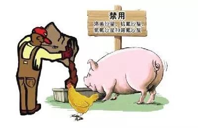 农业部:目前我国猪肉安全监测合格率为99.8%!